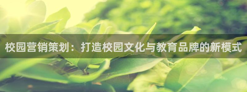 必赢棋盘9965.0版本