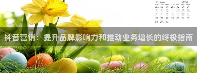 56.nt必赢官网