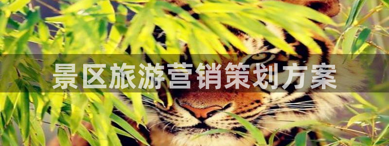 必赢平台网