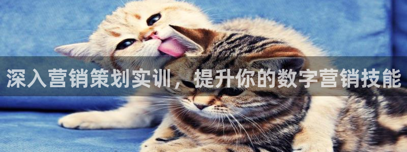 必赢网站有哪些