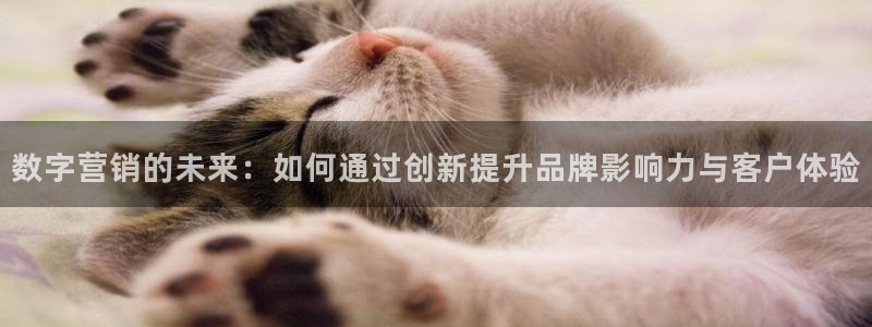 必赢官网下载安装