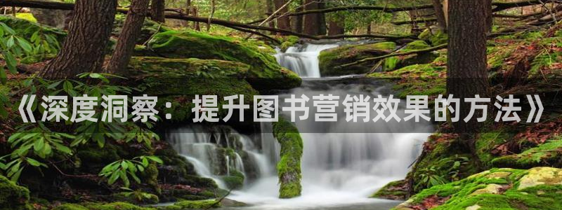 必赢抢红包网址