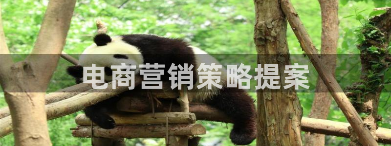 必赢亚赢网站官网下载安装手机版