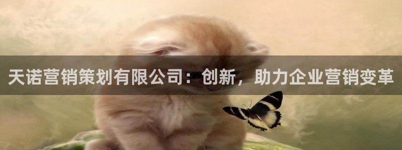 必赢国际网站合法吗