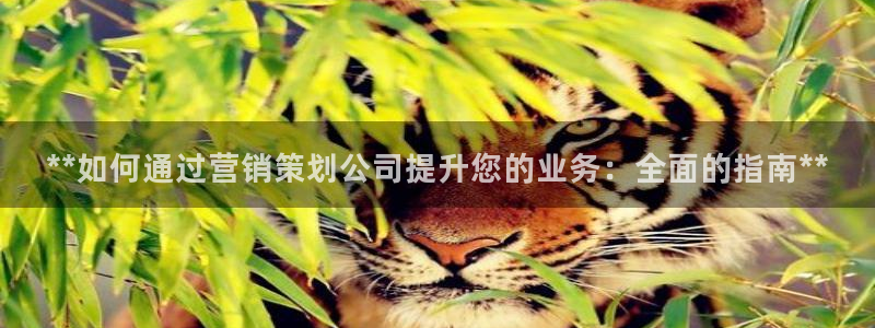 必赢手机app下载