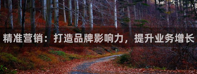 必赢下载