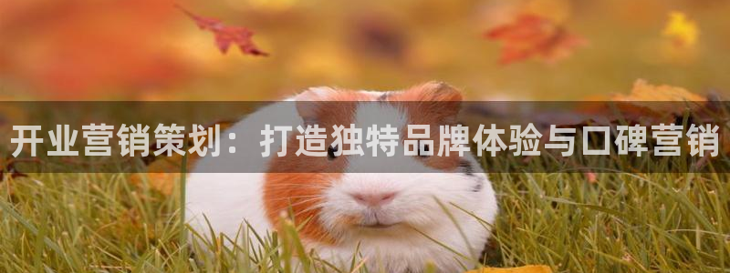 必赢官网app下载苹果手机