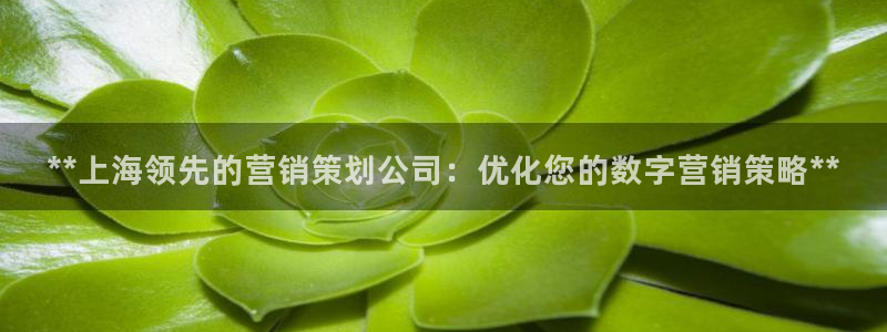 必赢72886网址多少啊