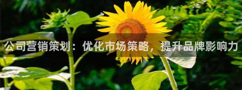 必赢官网入口下载app