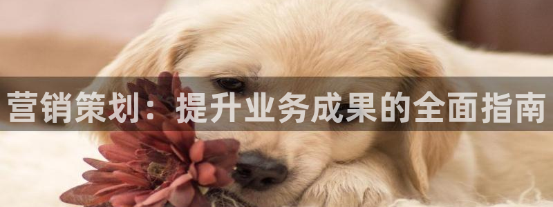 必赢官网app下载苹果