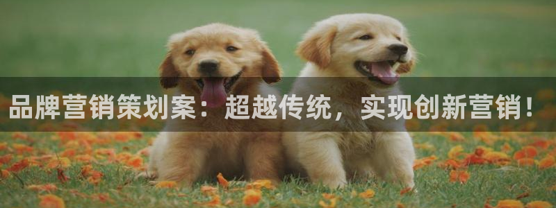 必赢网站打不开