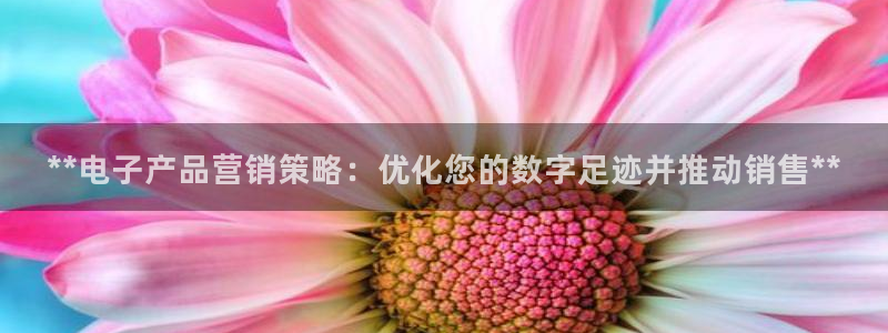 必赢72886网址多少啊