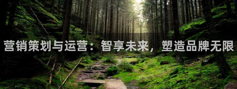 必赢国际的网站多少