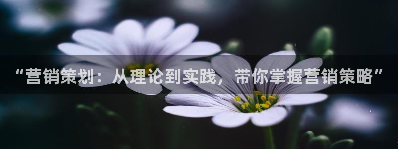 必赢国际游戏技巧