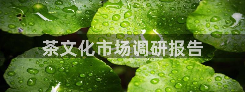 必赢官网app下载安装最新版本