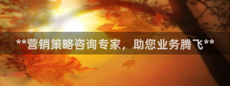 必赢这个平台怎么样