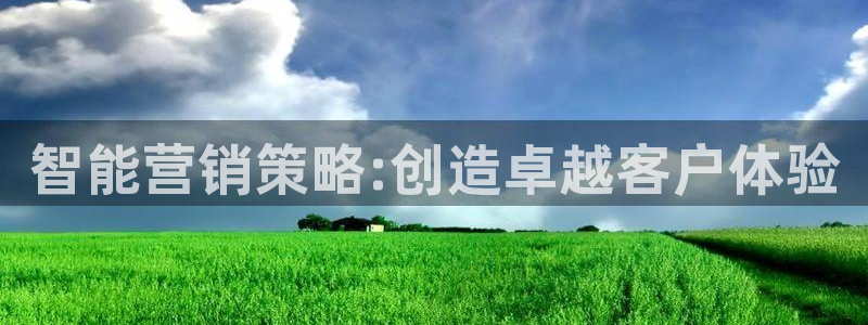 必赢国际437官网版
