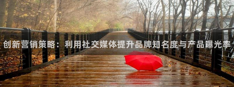 必赢网站是哪一个
