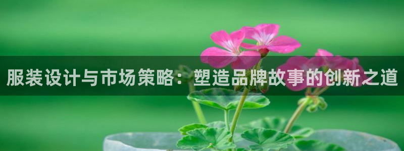 必赢最新官网