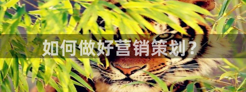 必赢集团网站首页