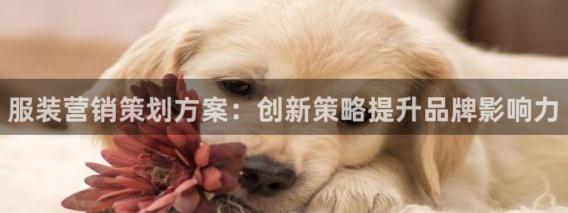 必赢565net官网网站