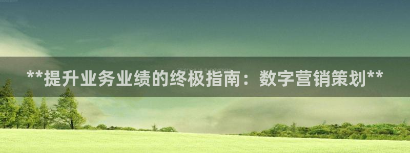 必赢科技有限公司