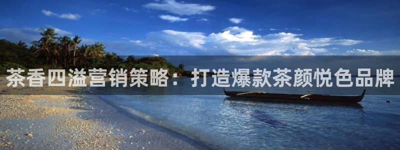 必赢网怎么打不开了