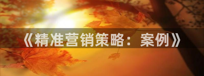 必赢437官网