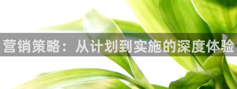 必赢平台网