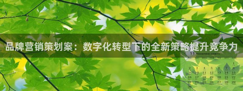 必赢亚赢网站官网下载安装