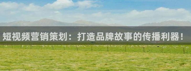 必赢手机app下载官网最新版