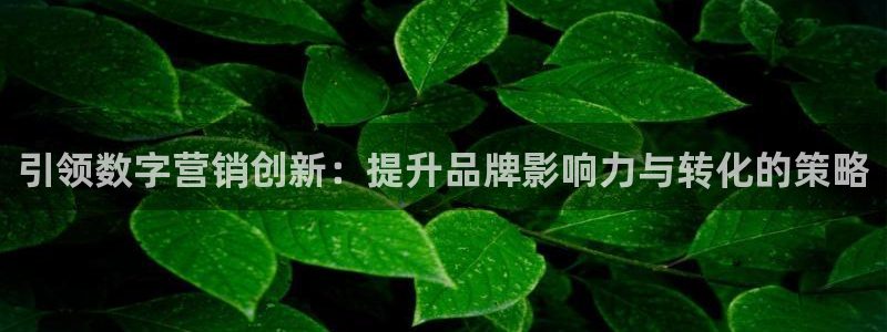 必赢官网网站入口下载