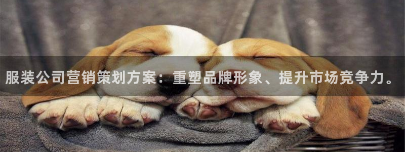 必赢集团网站首页