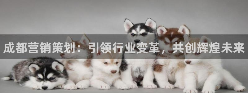 必赢集团网站首页