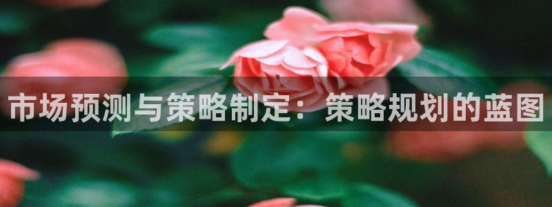 必赢官网入口下载安装手机版