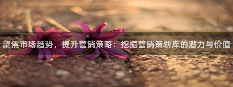 必赢集团怎么样
