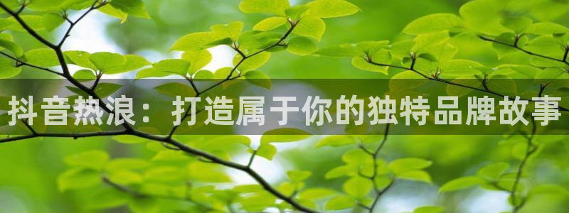 必赢网站网址是多少