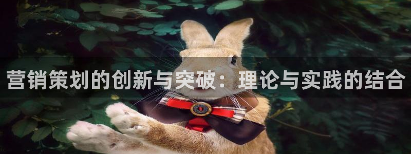 必赢科技有限公司