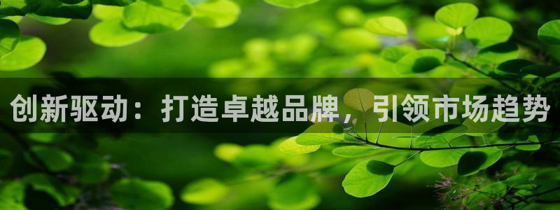 必赢官网app下载安装最新版本