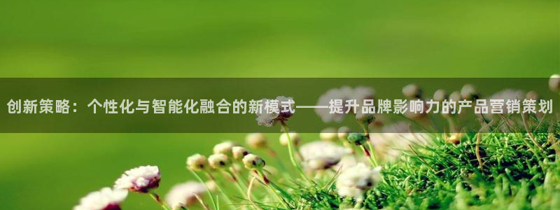 必赢565net官网网站