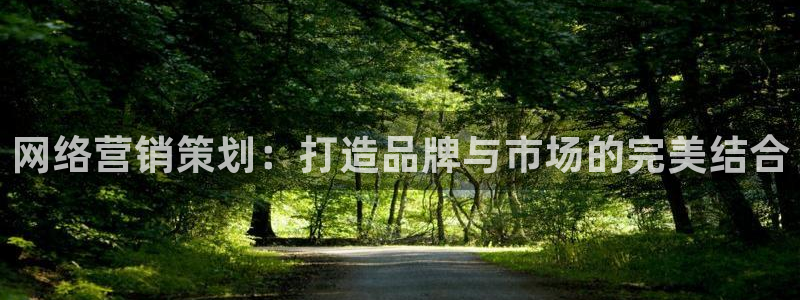 必赢手机app下载安装