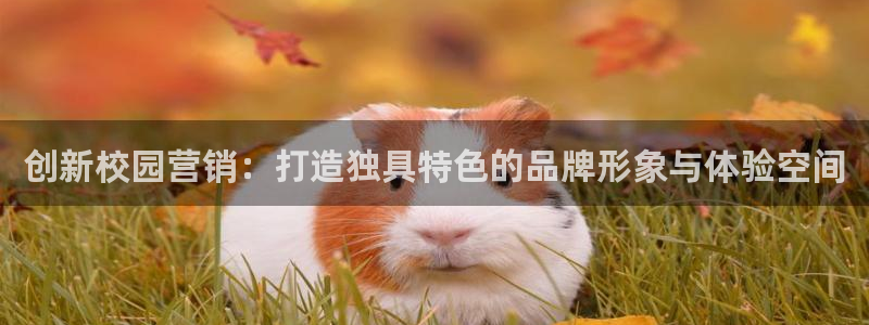 必赢平台怎么样可靠吗