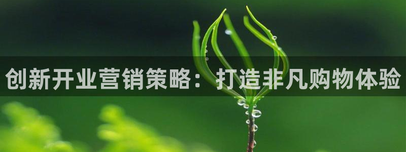 必赢官网入口下载