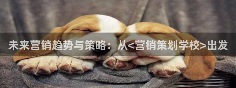 必赢app能挣钱吗安全吗