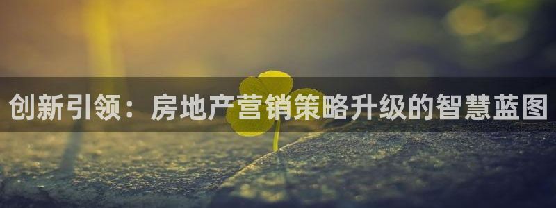 必赢网怎么打不开了