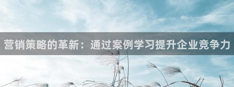 必赢科技中国有限公司