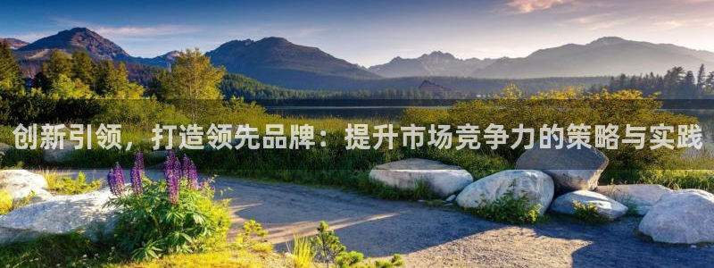 必赢棋脾