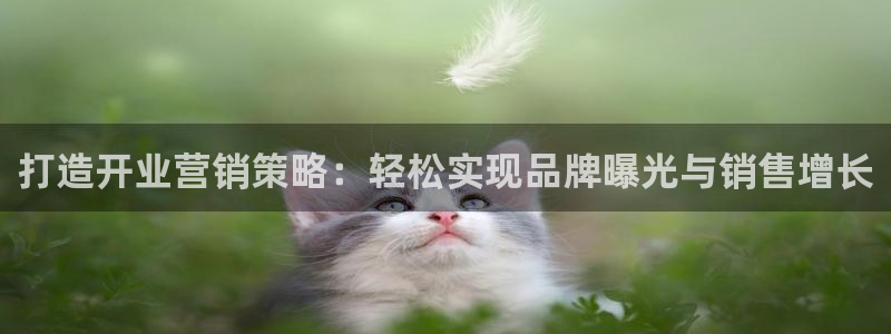 必赢手机app下载抢红包