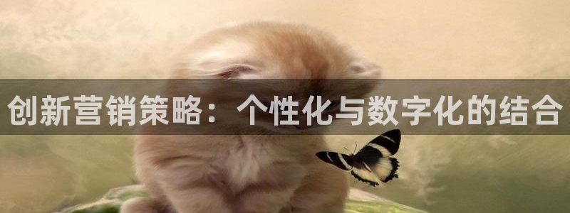 必赢客官方