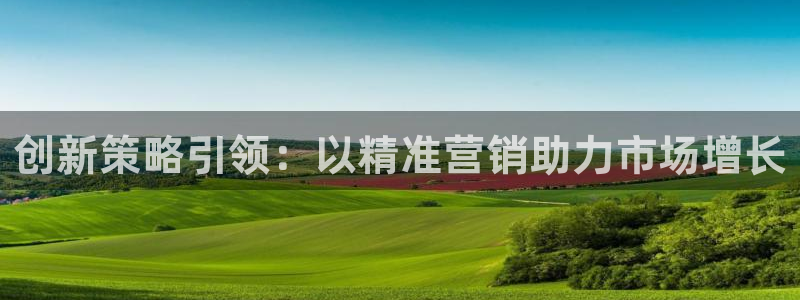 必赢国际的网站多少：创新策略引